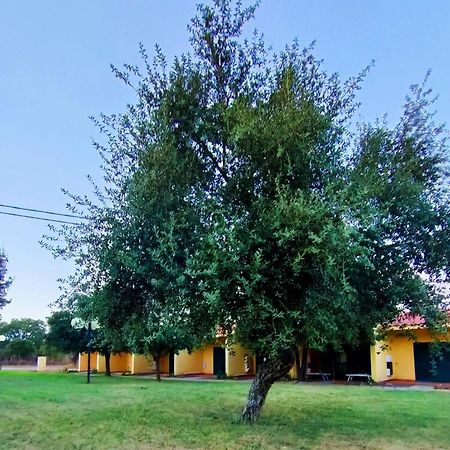 Nuraghe Ruiu Camping & Bungalow Norbello Dış mekan fotoğraf