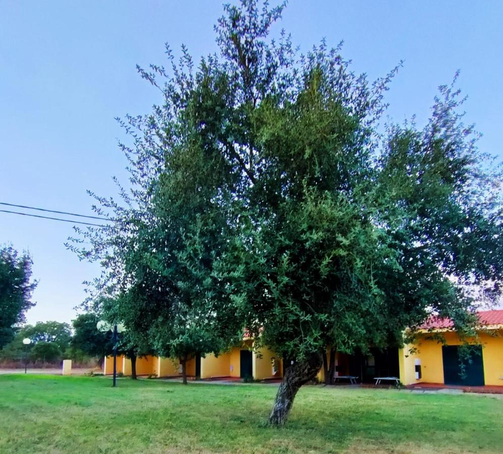 Nuraghe Ruiu Camping & Bungalow Norbello Dış mekan fotoğraf