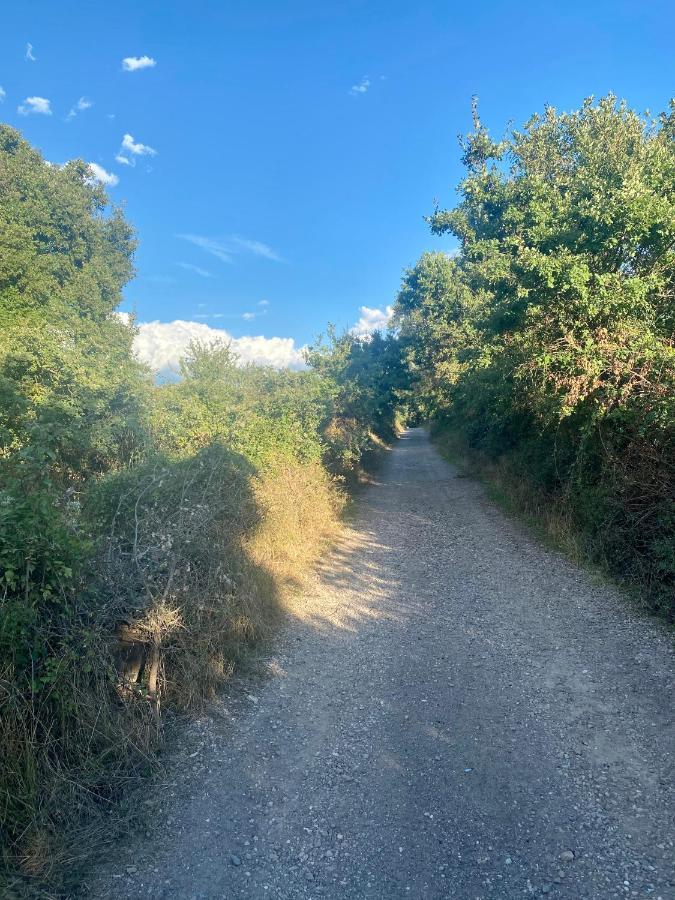 Nuraghe Ruiu Camping & Bungalow Norbello Dış mekan fotoğraf