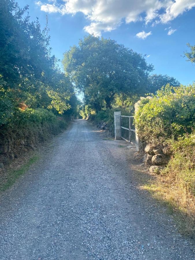 Nuraghe Ruiu Camping & Bungalow Norbello Dış mekan fotoğraf