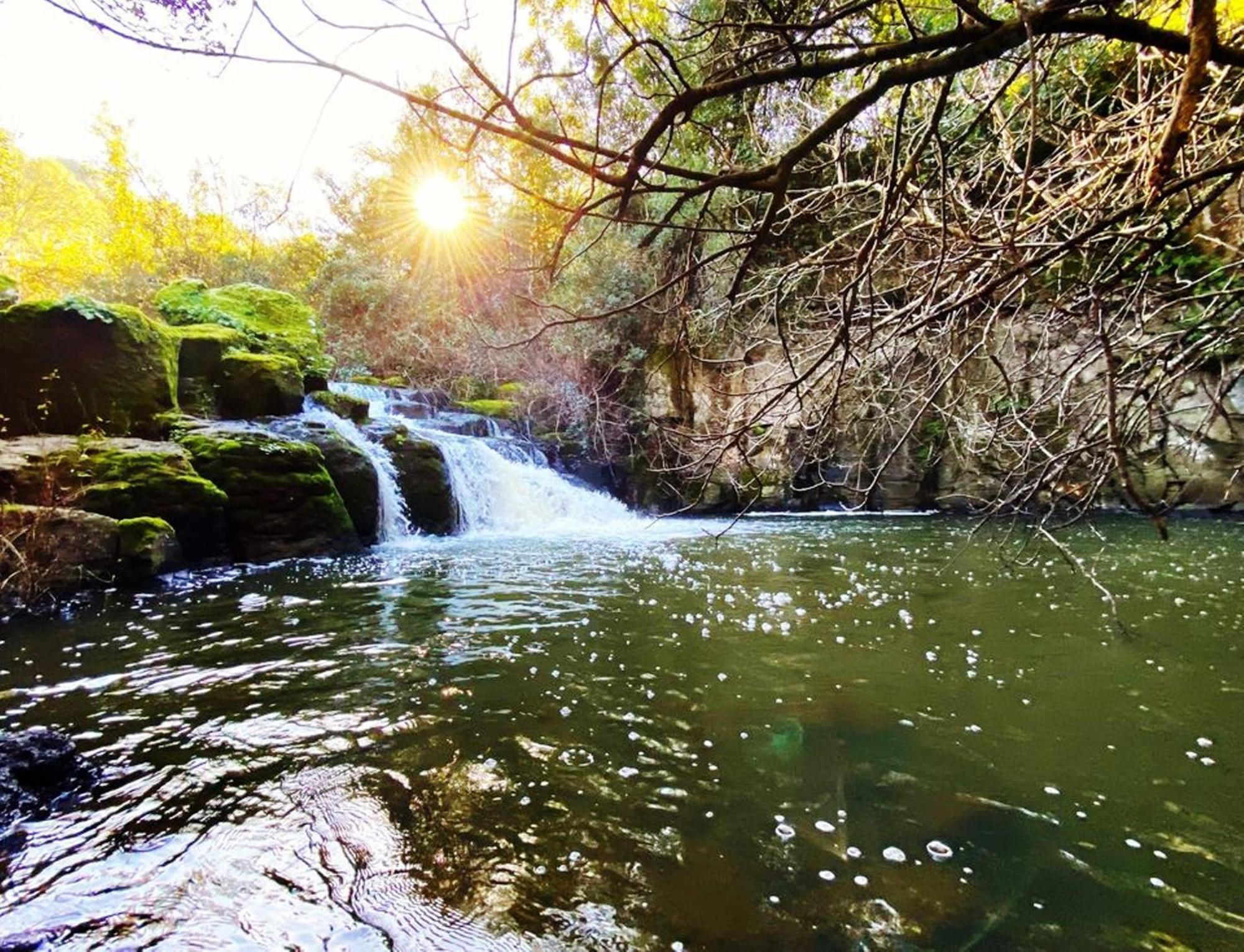 Nuraghe Ruiu Camping & Bungalow Norbello Dış mekan fotoğraf